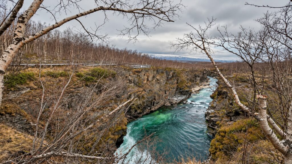 The Abisko canyon a few minutes from the station