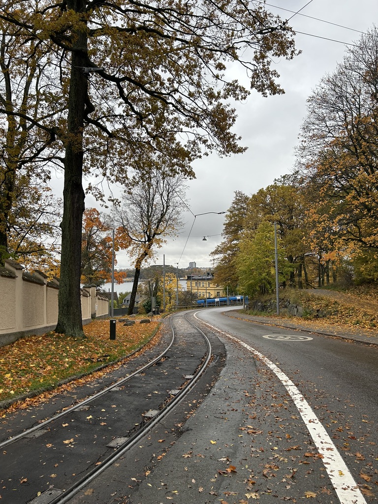 The Djurgården tram under autumn trees